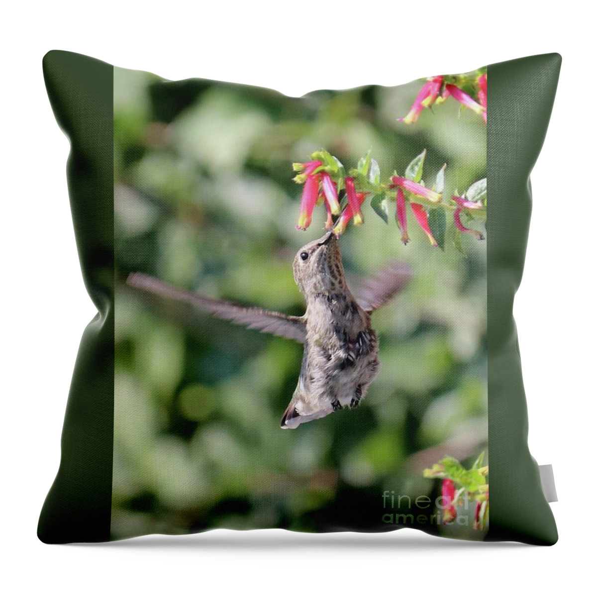 Hummingbird Throw Pillow featuring the photograph So Happy by Carol Groenen