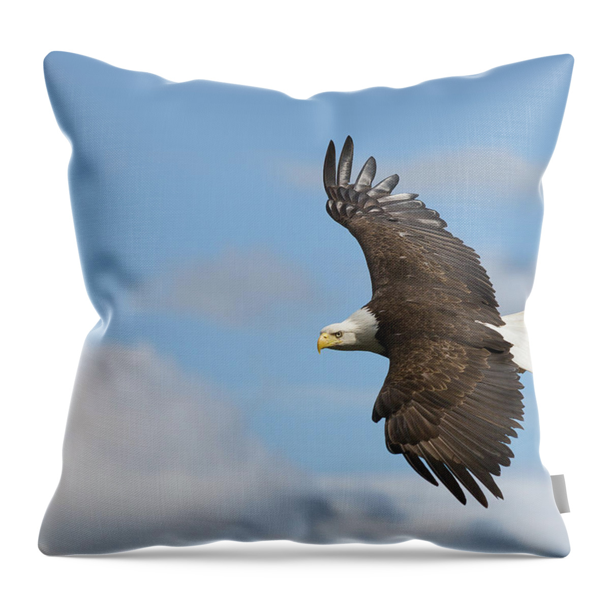 Bald Eagle Throw Pillow featuring the photograph Soaring Eagle by Michael Rauwolf