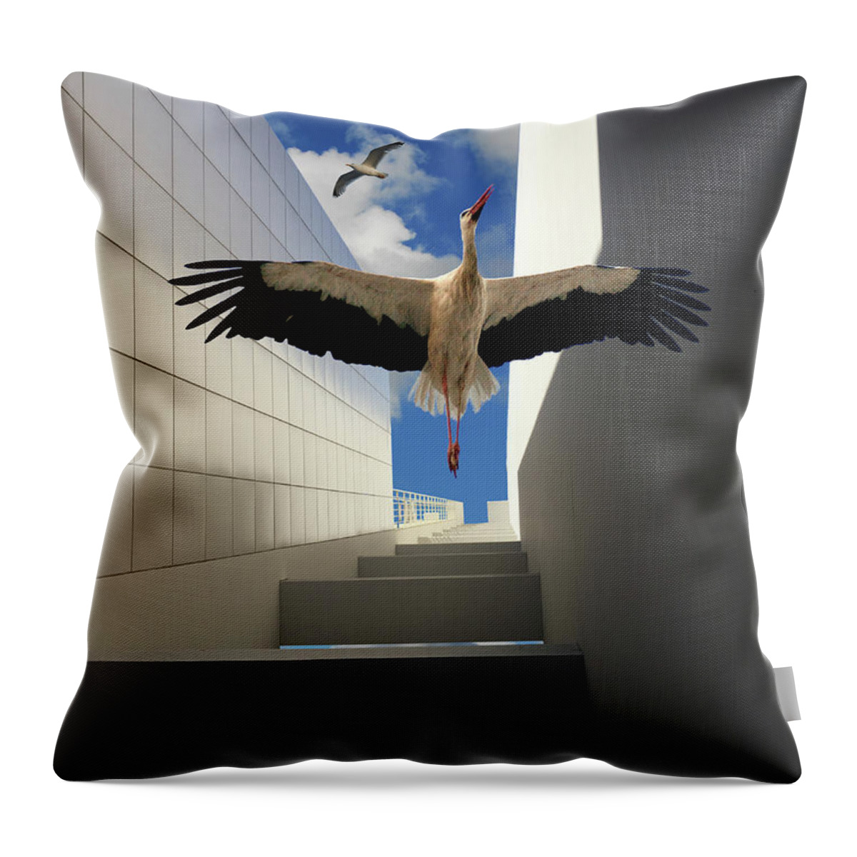 Surreal Throw Pillow featuring the photograph Soaring by Harry Spitz