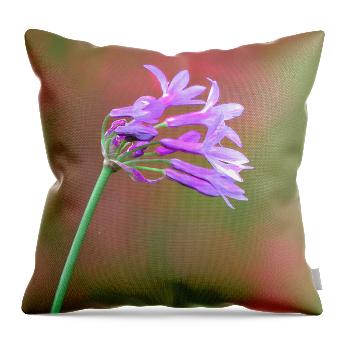 Blossom Throw Pillow featuring the photograph Society Garlic Blossom by Jerry Griffin