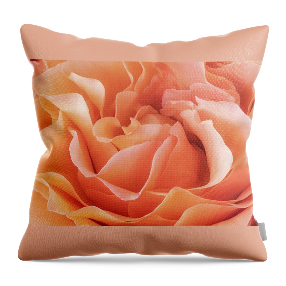 Rose Throw Pillow featuring the photograph Soft And Dreamy - Triptych Middle by Elvira Peretsman