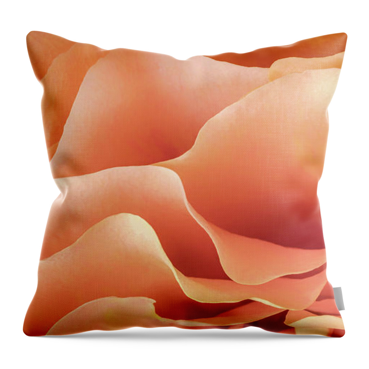 Rose Throw Pillow featuring the photograph Soft And Dreamy - Triptych Top by Elvira Peretsman