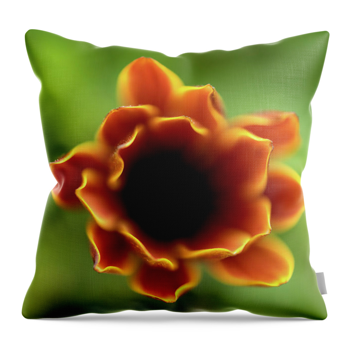Flowers Throw Pillow featuring the photograph Soft Flames by Alicia Glassmeyer