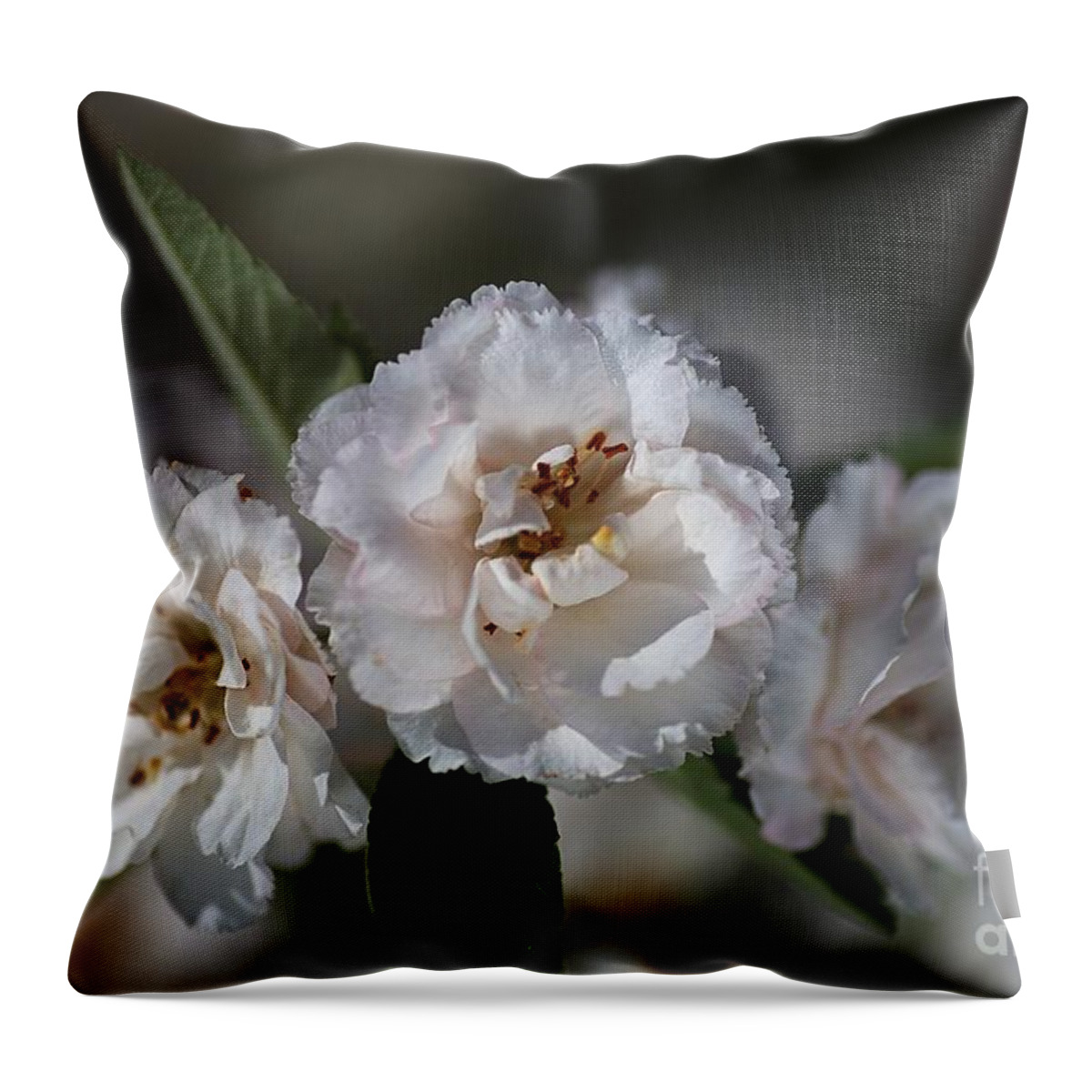 Crabapple Throw Pillow featuring the photograph Soft White Crabapple Flowers by Joy Watson