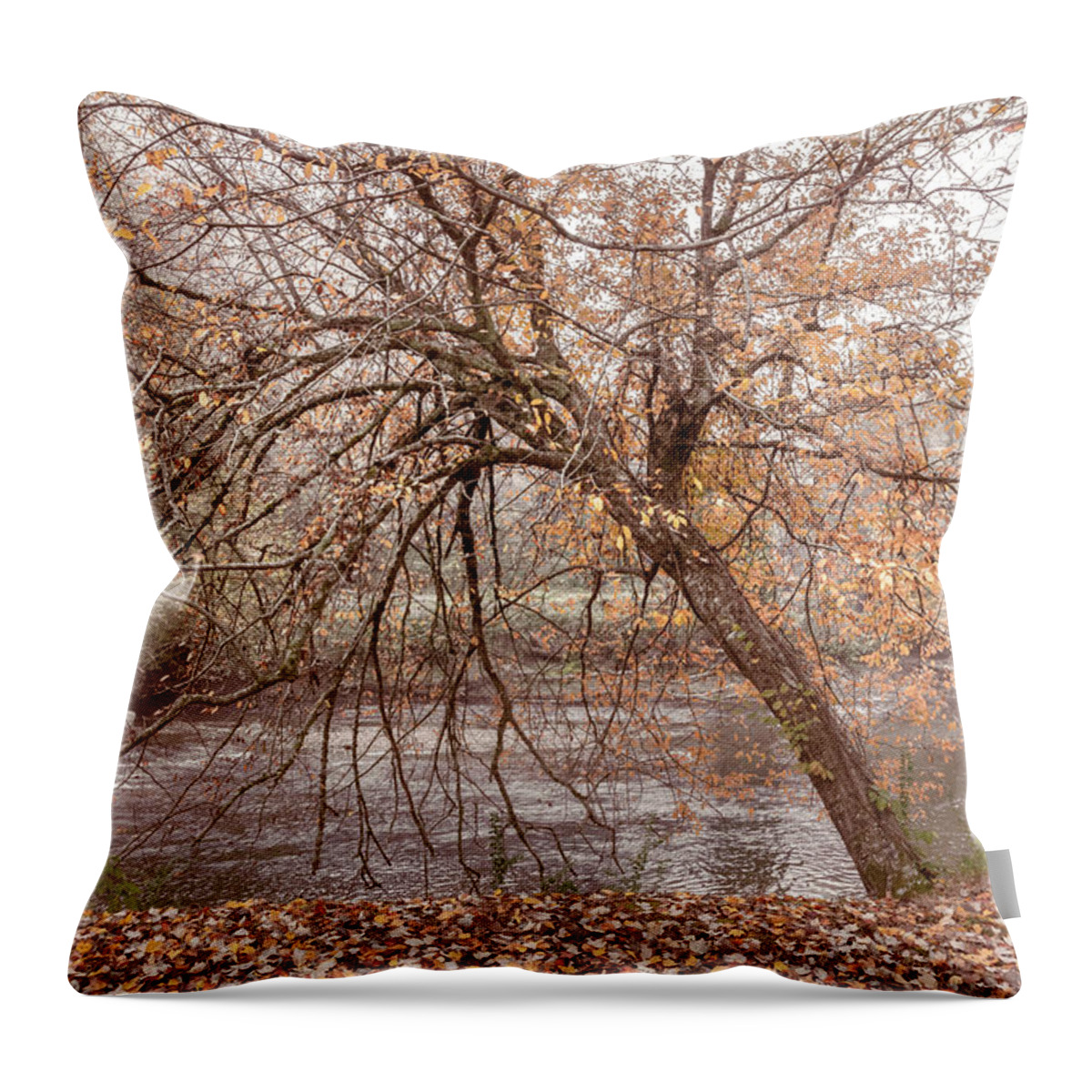 Carolina Throw Pillow featuring the photograph Softly Leaning Low over the River by Debra and Dave Vanderlaan