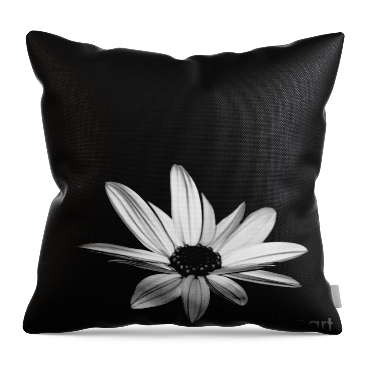 Flower Throw Pillow featuring the photograph Soliloquy to Be by Debra Banks