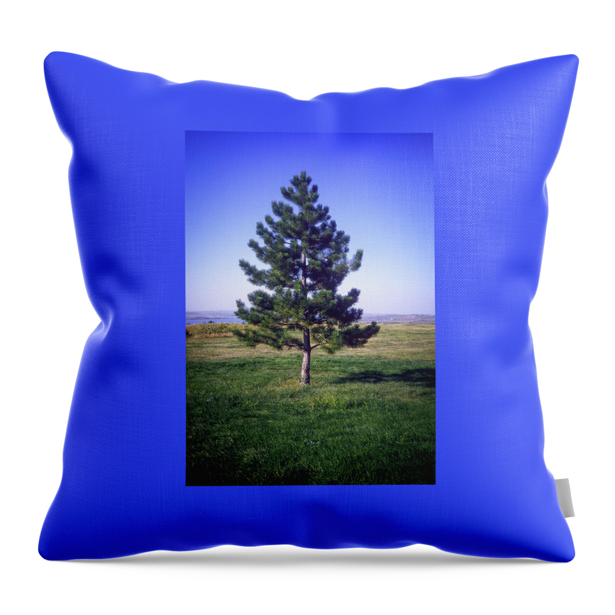 Solitary Throw Pillow featuring the photograph Solitary Pine by Gordon James