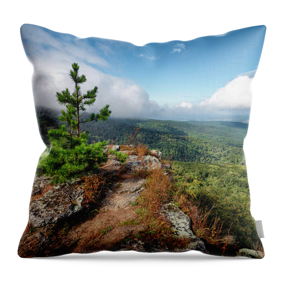 Arkansas Throw Pillow featuring the photograph Solitary Pine by James Barber