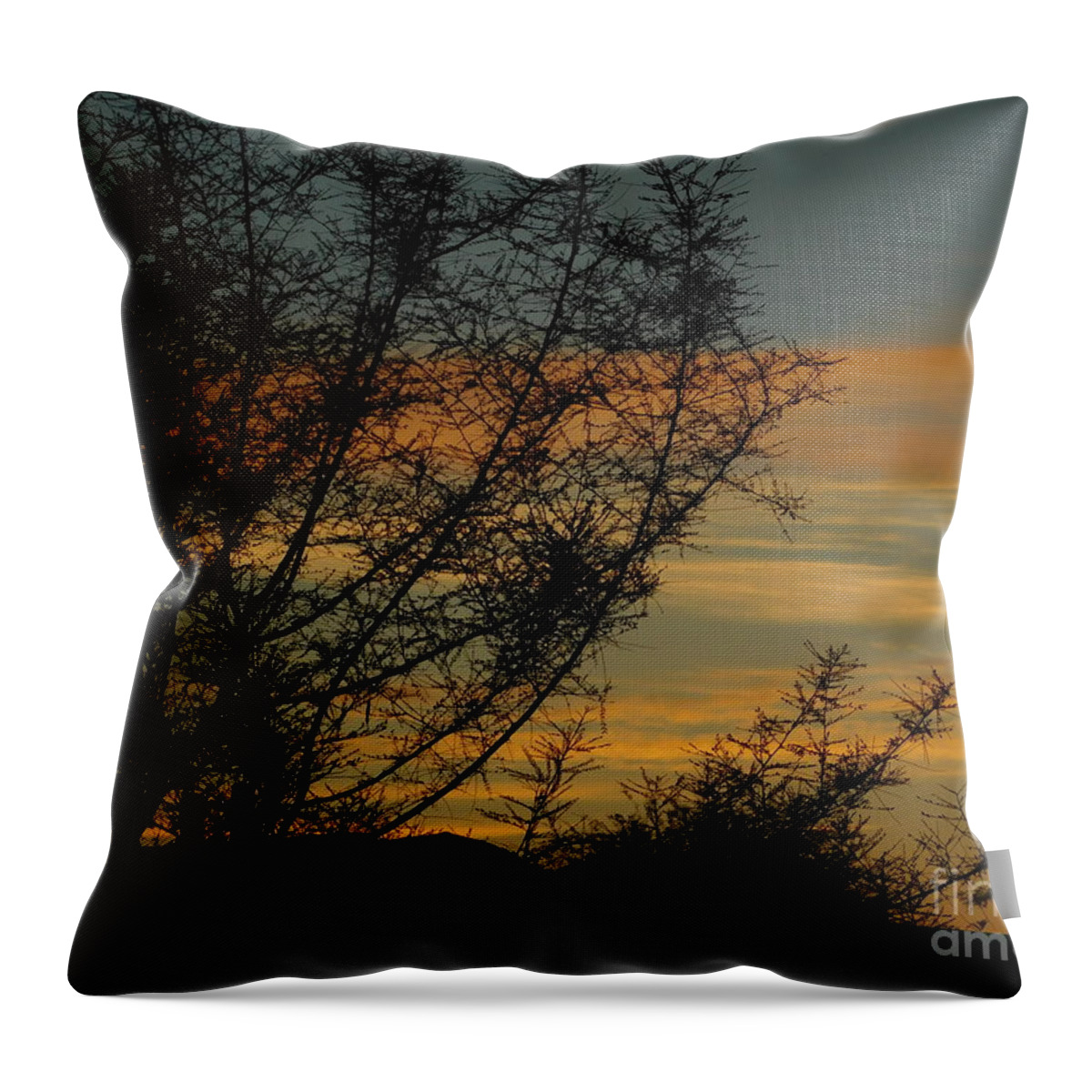 Sunset Throw Pillow featuring the photograph Solitude by Chris Tarpening