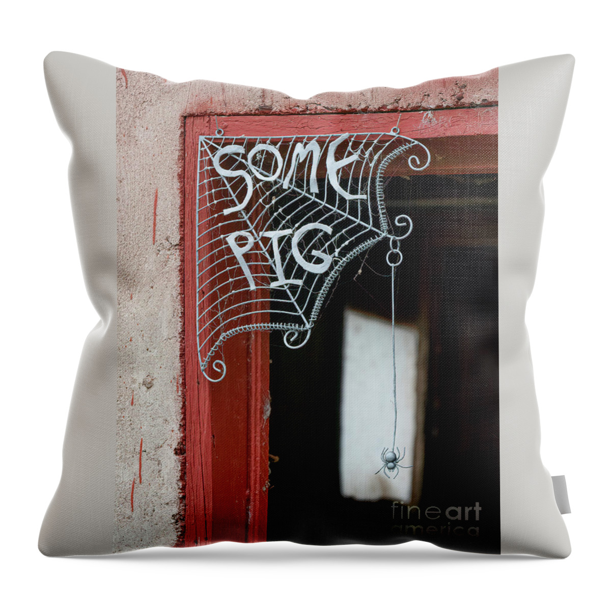 Spider Web Throw Pillow featuring the photograph Some Pig by Lorraine Cosgrove