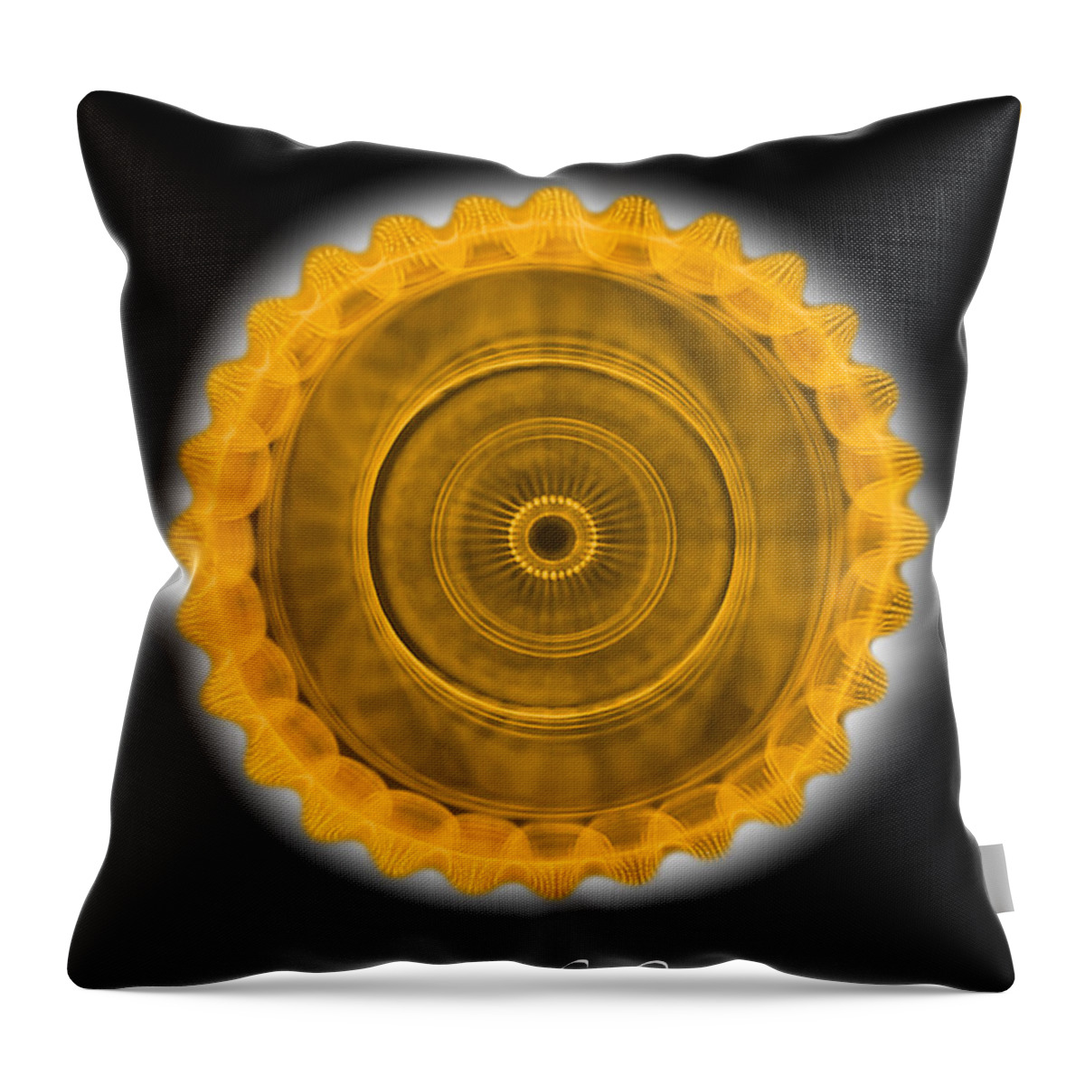 Cymatics Throw Pillow featuring the photograph Song of the Sun #3 by CymaScope