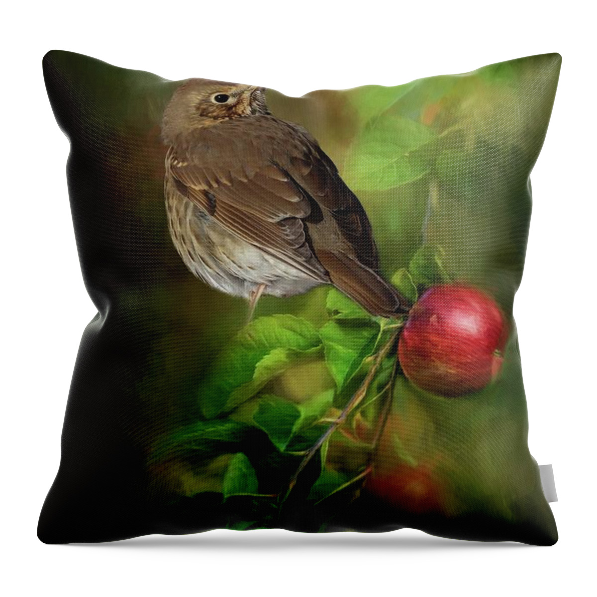 Song Thrush Throw Pillow featuring the photograph Song Thrush by Eva Lechner