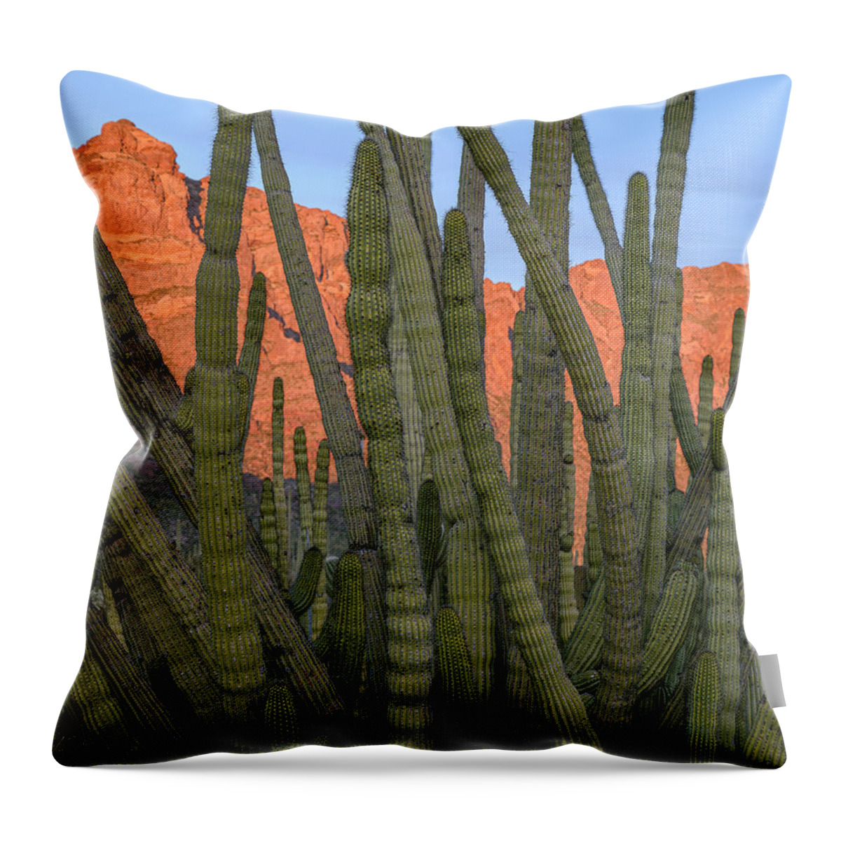 Ajo Mountain Drive Throw Pillow featuring the photograph Sonora Obscura by James Covello