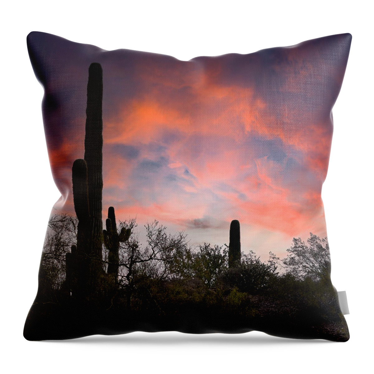 Desert Throw Pillow featuring the photograph Sonoran Desert Sunset by Phil And Karen Rispin