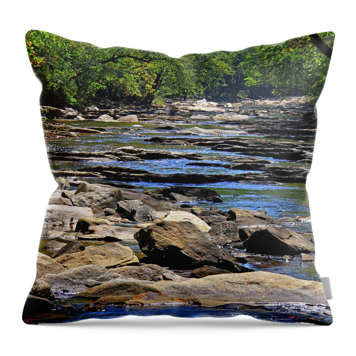 Sope Creek Throw Pillow featuring the photograph Sope Creek 2 - Atlanta, Georgia by Richard Krebs
