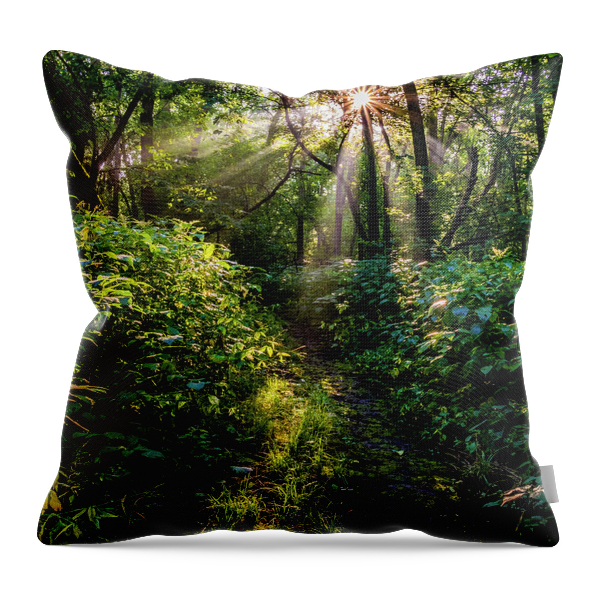 Forest Throw Pillow featuring the photograph Soulshine by Flowstate Photography