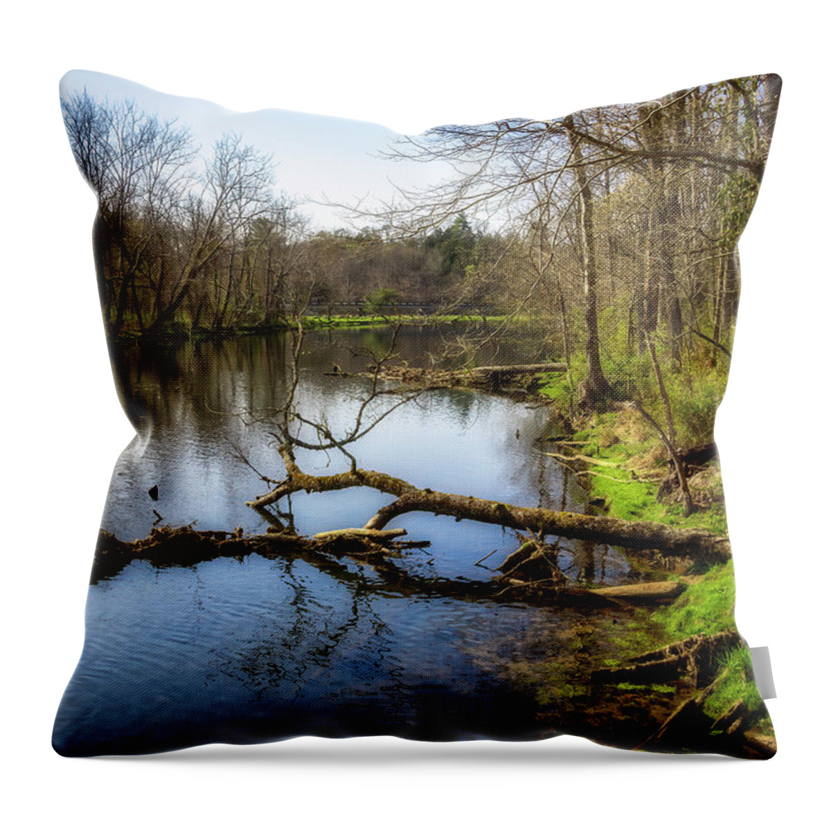 River; Reflection; South Holston; Tennesseee; Northeast Tennessee; Spring; Springtime; Green; Blue; Grass; Tree; Trees; Reflections; Cloud; Clouds; Water; Stream; Tributary; Rock; Rocks; Outdoor Photography Throw Pillow featuring the photograph South Holston River by Shelia Hunt