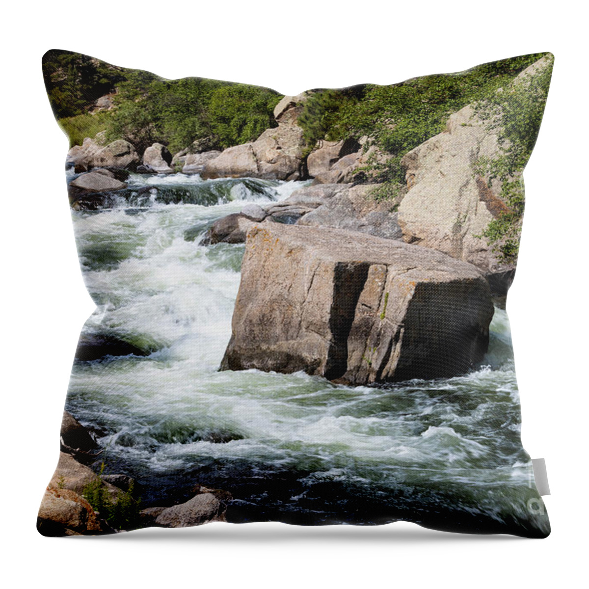 South Platte River Throw Pillow featuring the photograph South Platte River in Eleven Mile Canyon by Steven Krull