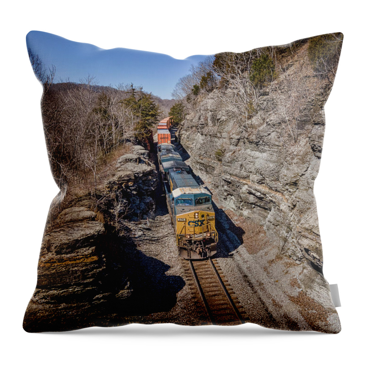 Railroad Throw Pillow featuring the photograph Southbound Intermodal at Baker by Jim Pearson