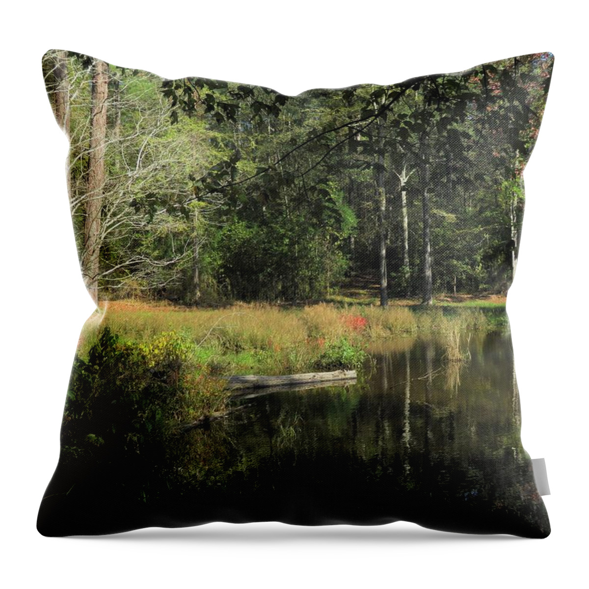 Pond Throw Pillow featuring the photograph Southern Pond Sojourn by Ed Williams