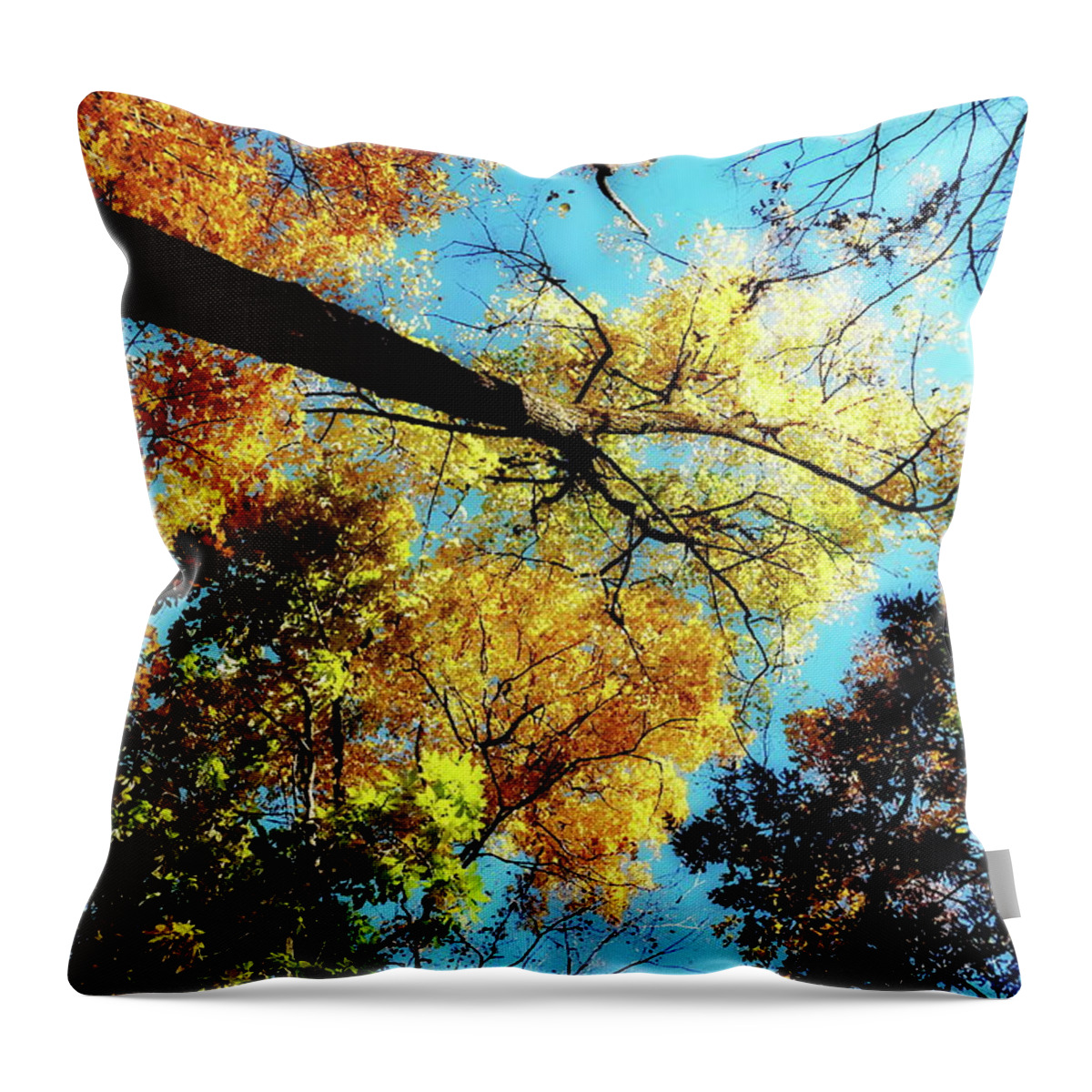 #flickr Throw Pillow featuring the photograph Southford State Park, Southbury CT by Thomas Henthorn
