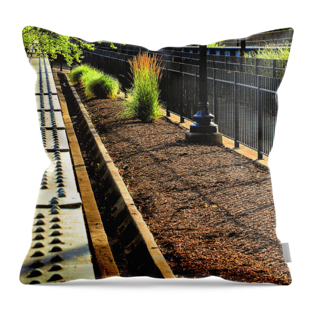 Golden Hour Throw Pillow featuring the photograph Southwest Waterfront Footbridge at Golden Hour by Steve Ember