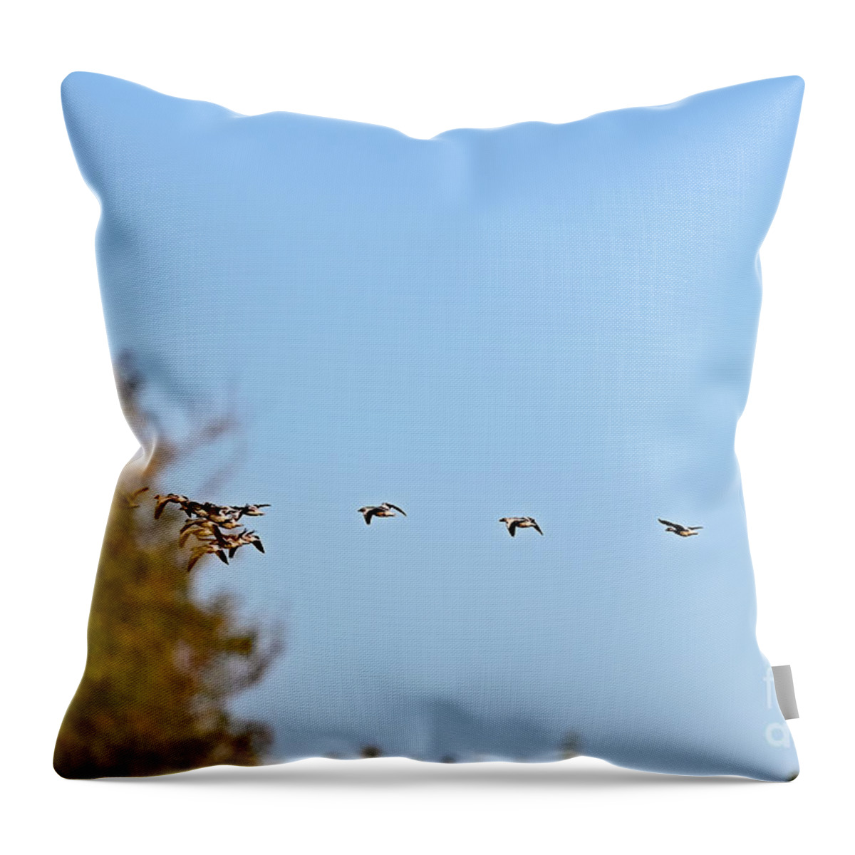Waterfowl Throw Pillow featuring the photograph Space Jam - Snow Geese by Amazing Action Photo Video