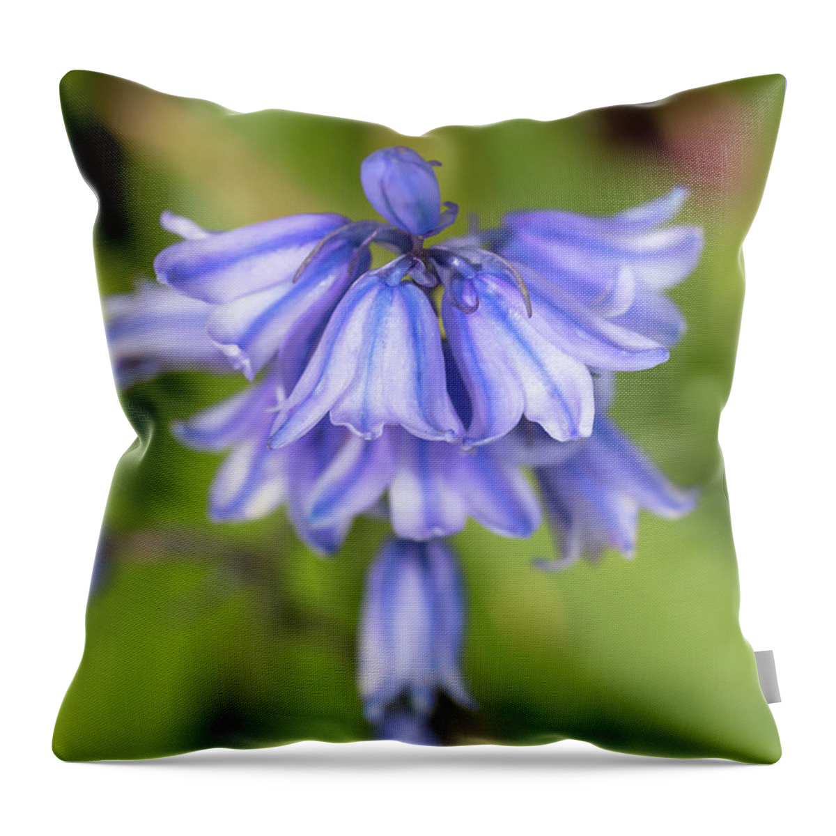 Flower Throw Pillow featuring the photograph Spanish Bluebells 5 by Dawn Cavalieri