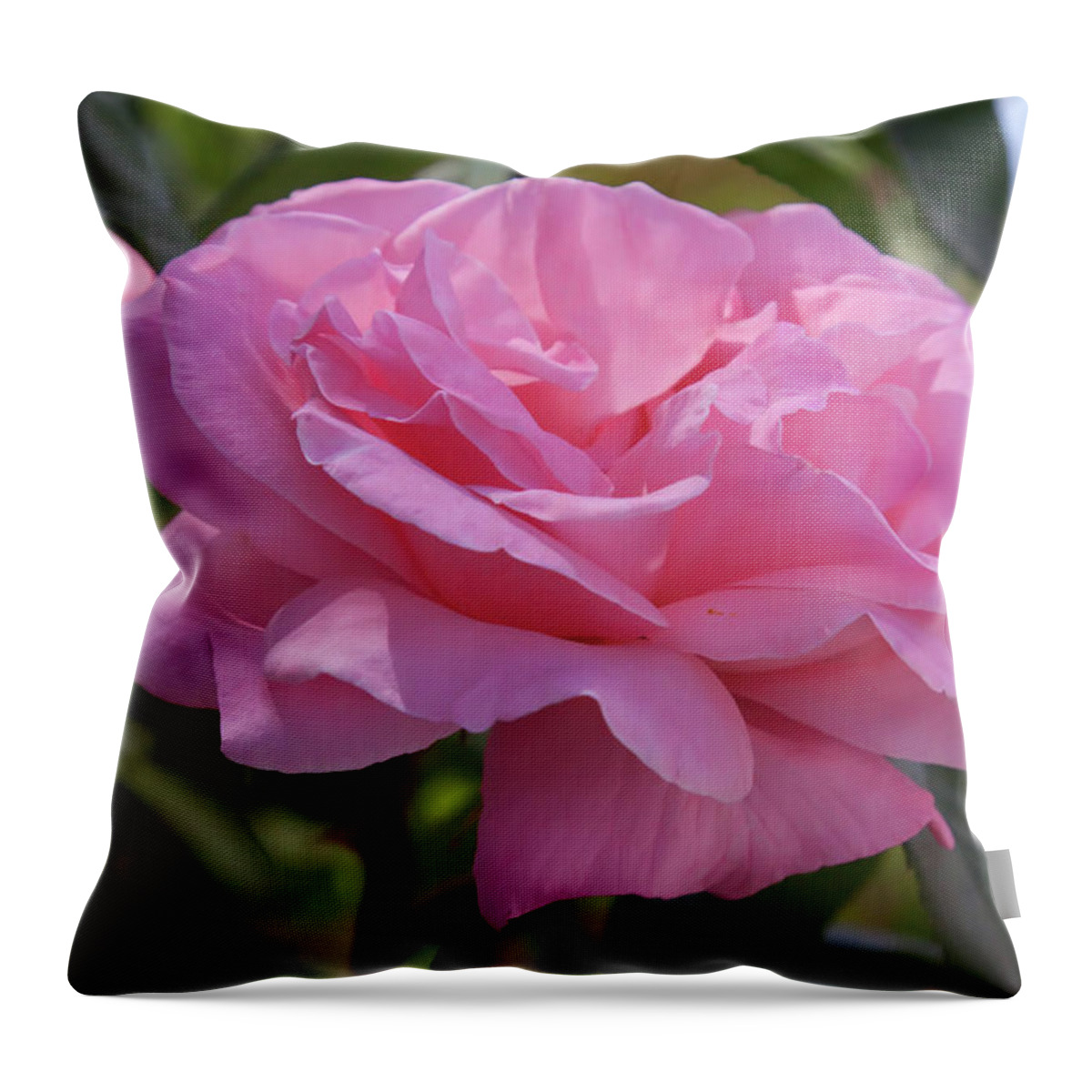 Pink Rose Throw Pillow featuring the photograph Spanish Pink Rose by Tatiana Travelways