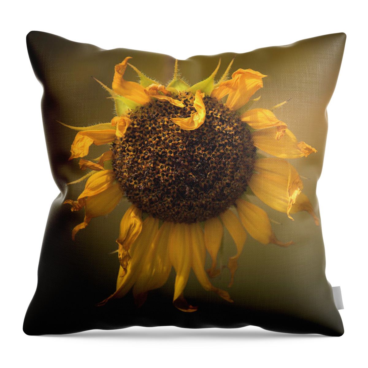 Sunflower Throw Pillow featuring the photograph Spent Sunflower by The Forests Edge Photography - Diane Sandoval