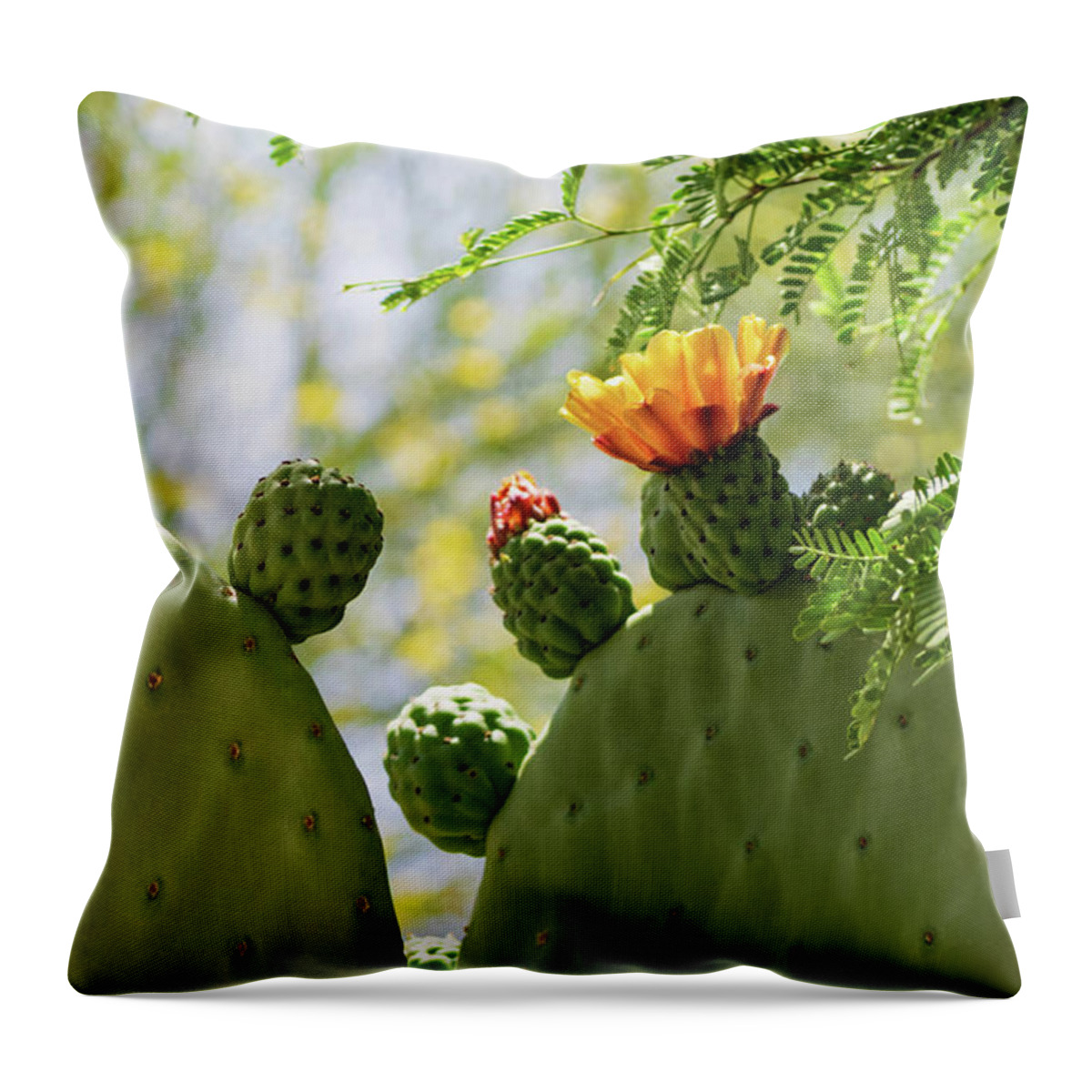 Cactus Throw Pillow featuring the photograph Spineless Prickly Pear Cactus Blooms by Marianne Campolongo