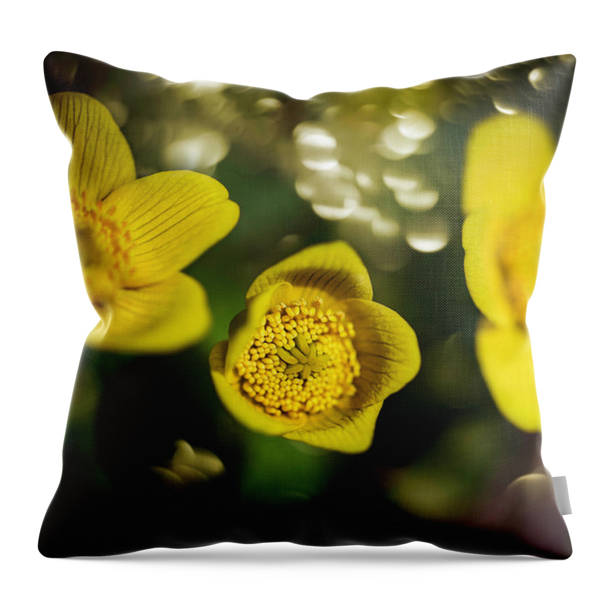  Throw Pillow featuring the photograph Sping Sunnies by Nicole Engstrom