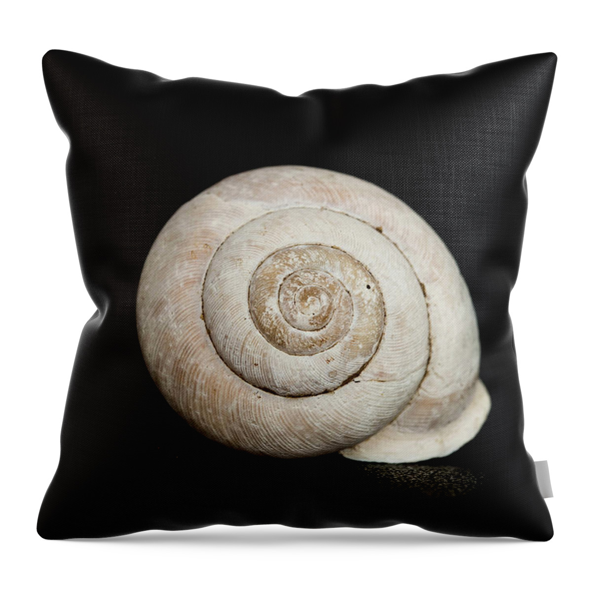 Black Throw Pillow featuring the photograph Spiral Shell by Amelia Pearn