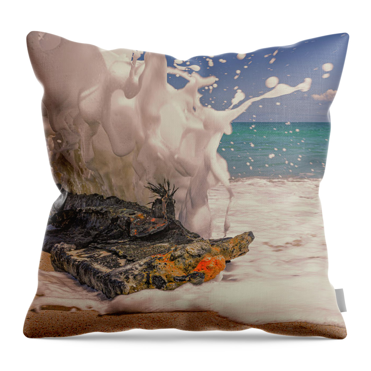Action Throw Pillow featuring the photograph Splash by Jay Heifetz