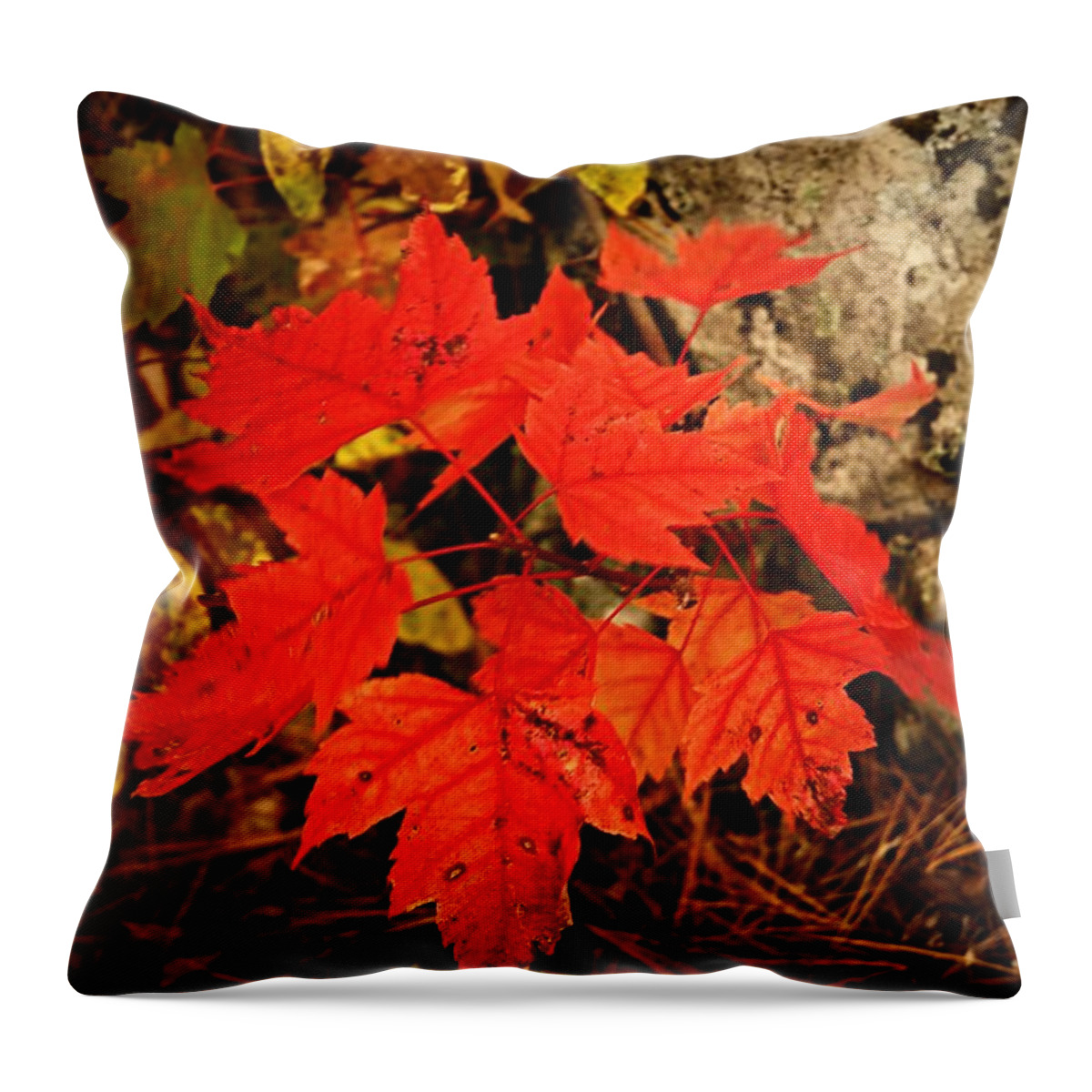 Landscape Throw Pillow featuring the photograph Splash of Autumn by Larry Ricker
