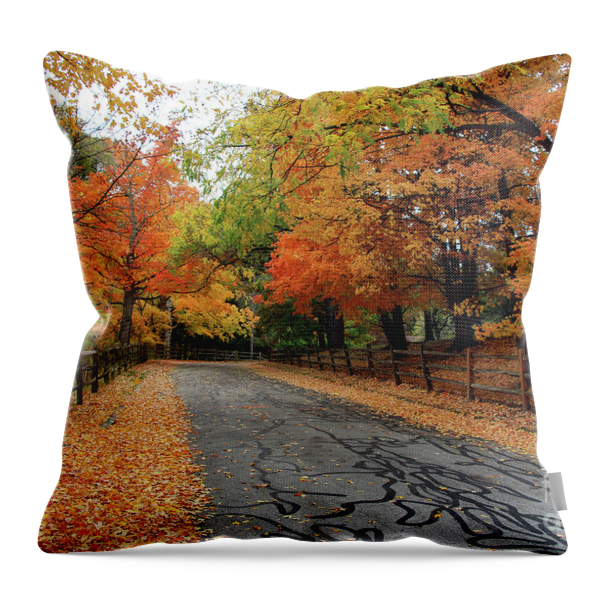 Split Rail Fence Throw Pillow featuring the photograph Split Rail Fence and Fall Color 6973 by Jack Schultz
