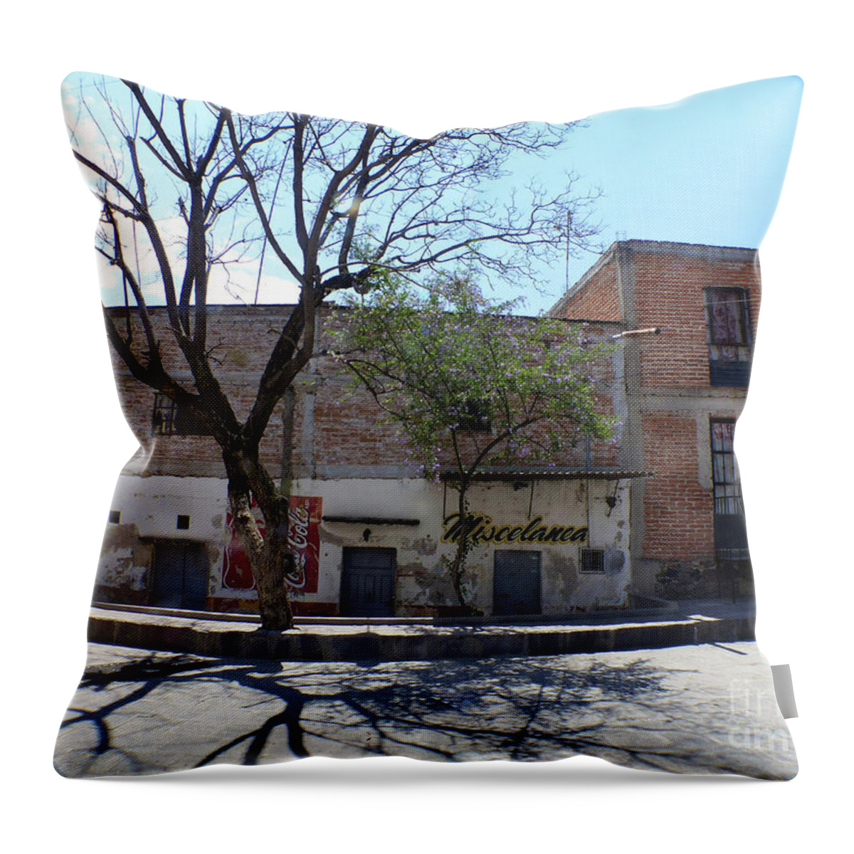 Telephoto Throw Pillow featuring the photograph San Miguel de Allende by Rosanne Licciardi