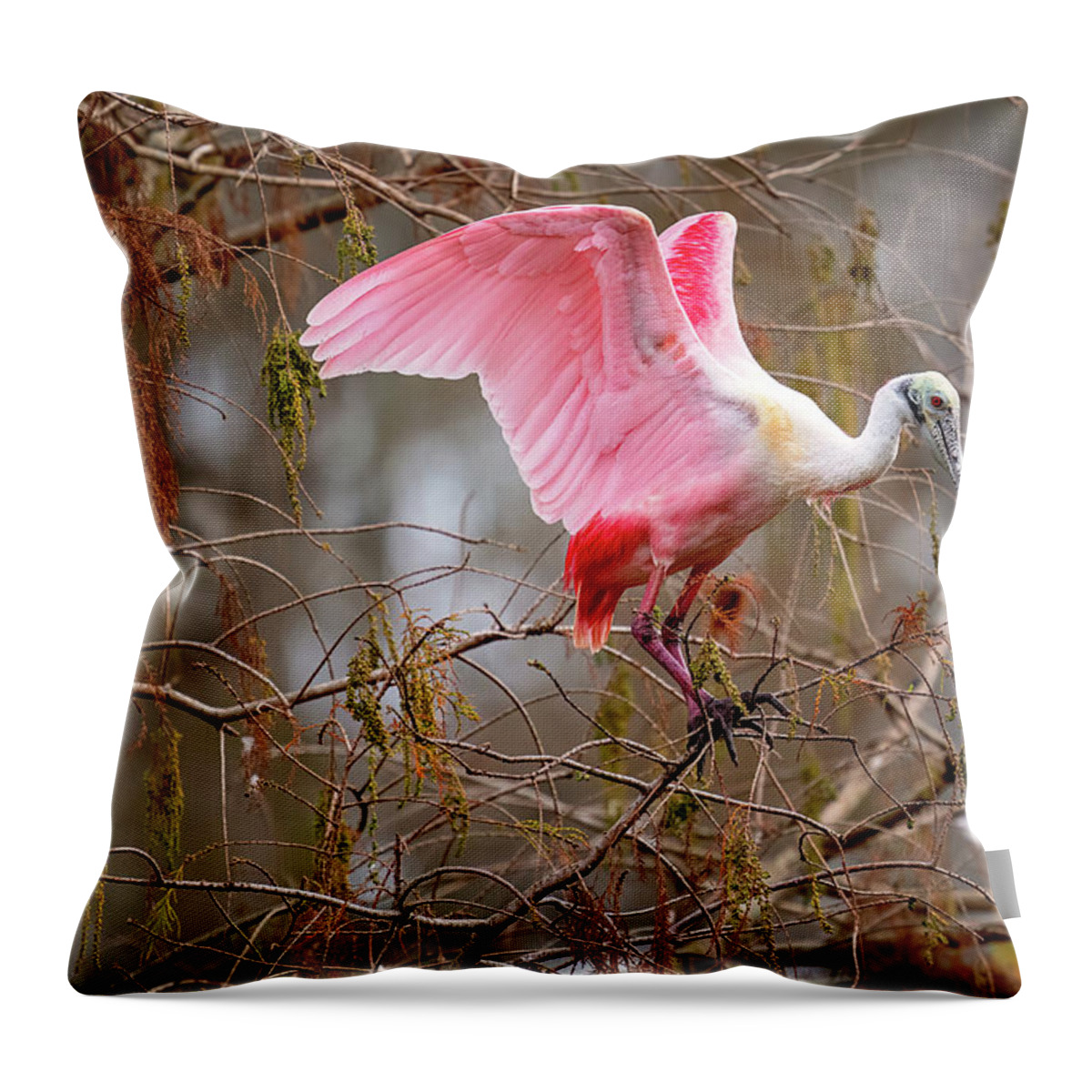  Throw Pillow featuring the photograph Spoonbill Nesting by Norman Peay