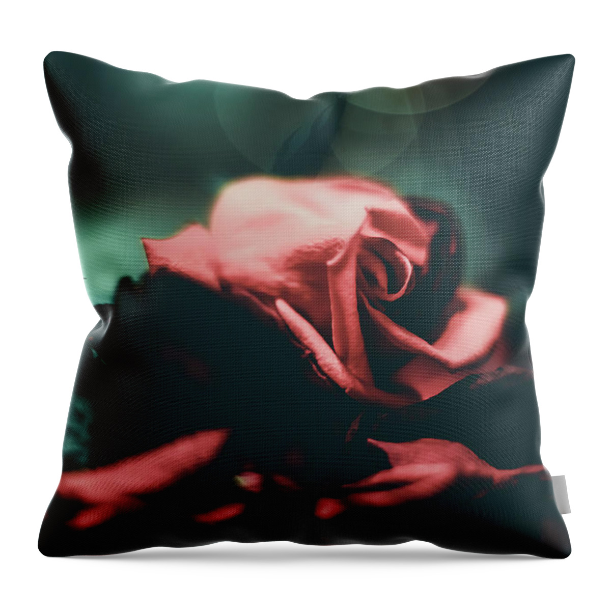 Rose Throw Pillow featuring the photograph Spotlight Rose by Anamar Pictures