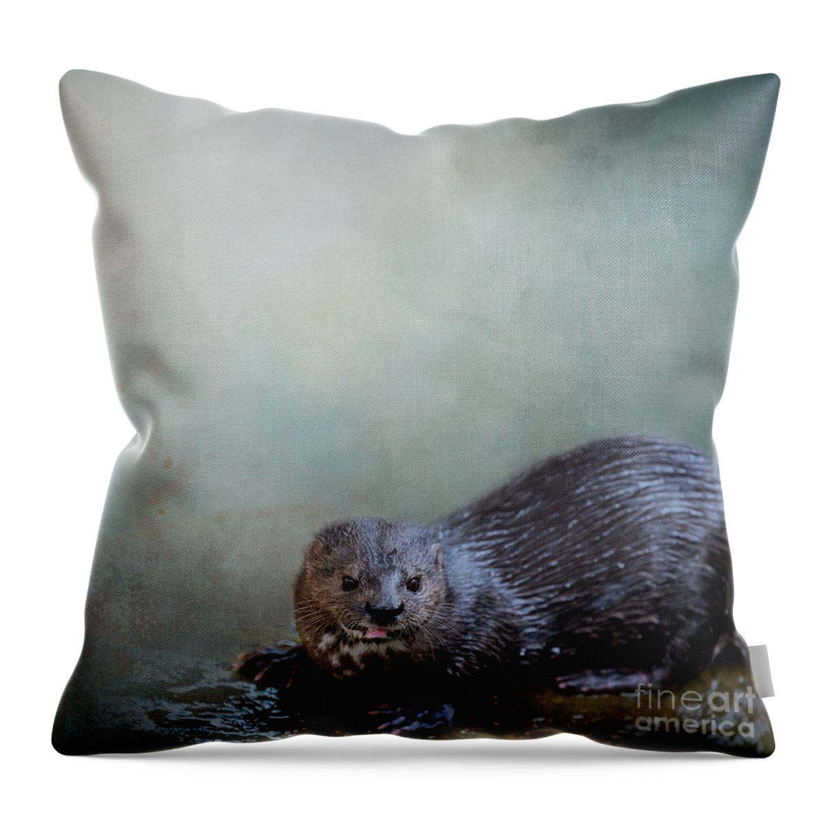 Spotted-necked Otter Throw Pillow featuring the photograph Spotted-Necked Otter by Eva Lechner