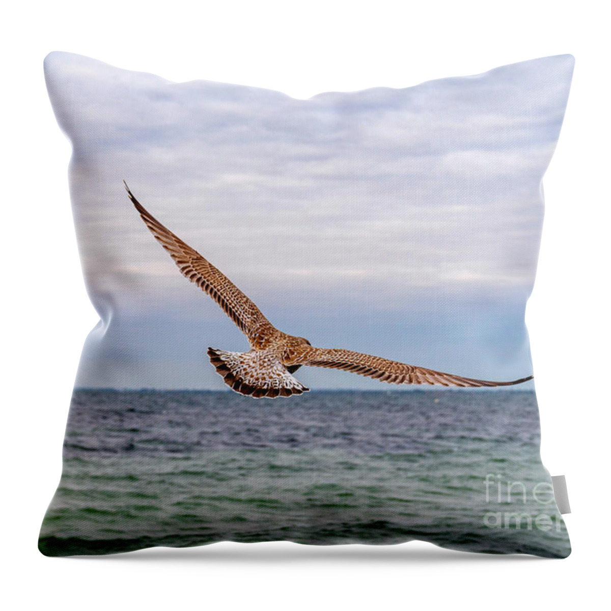 Birds Throw Pillow featuring the photograph Spread your Wings... and fly away. by Daniel M Walsh