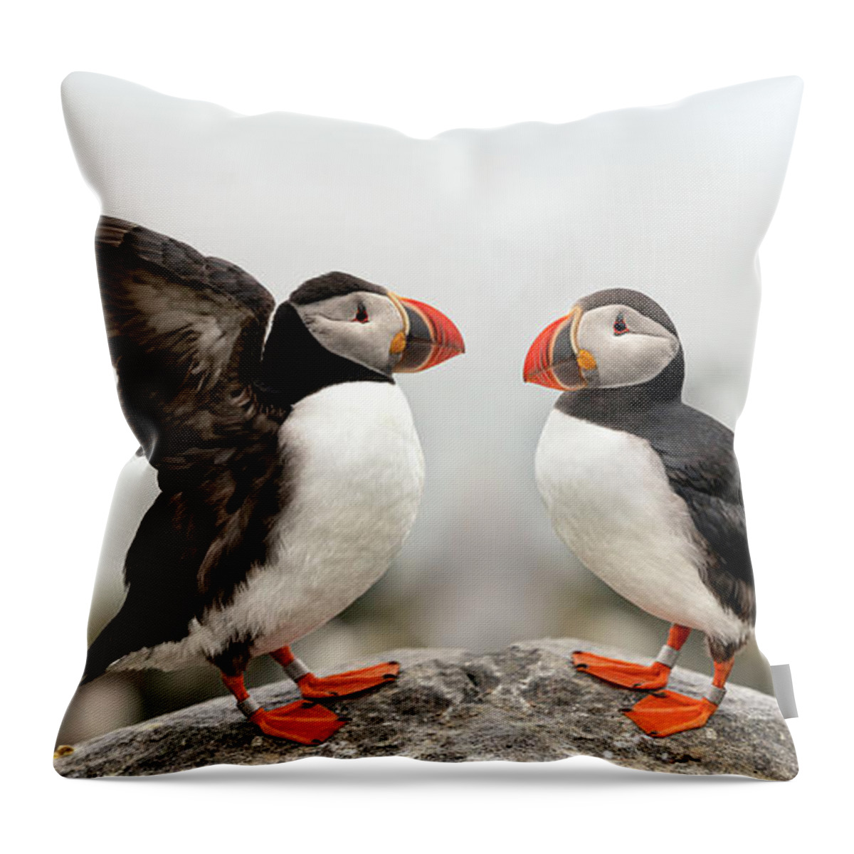  Throw Pillow featuring the photograph Spread Your Wings and Fly by Darylann Leonard Photography