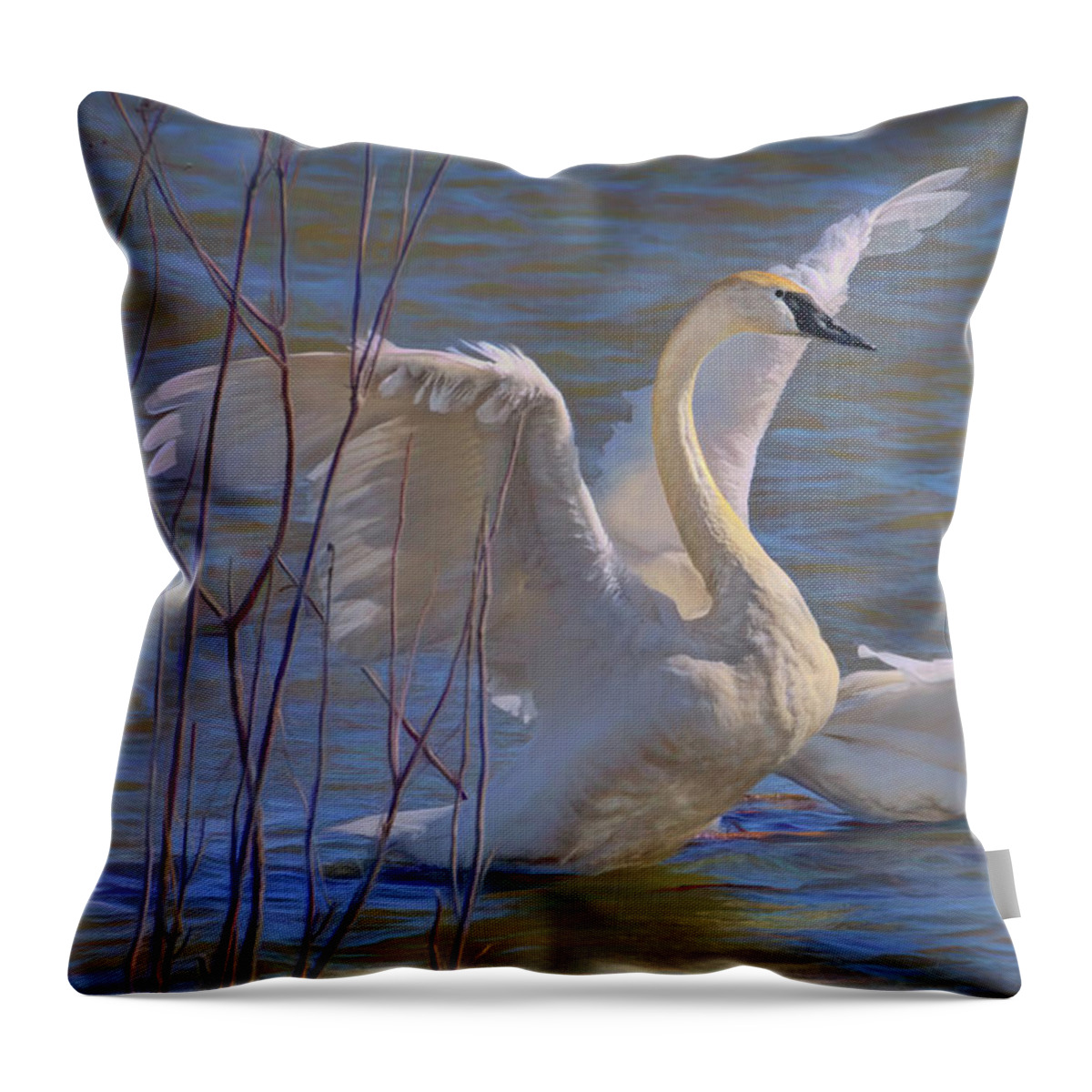 Birds Throw Pillow featuring the photograph Spread Your Wings - Trumpeter Swans by Nikolyn McDonald