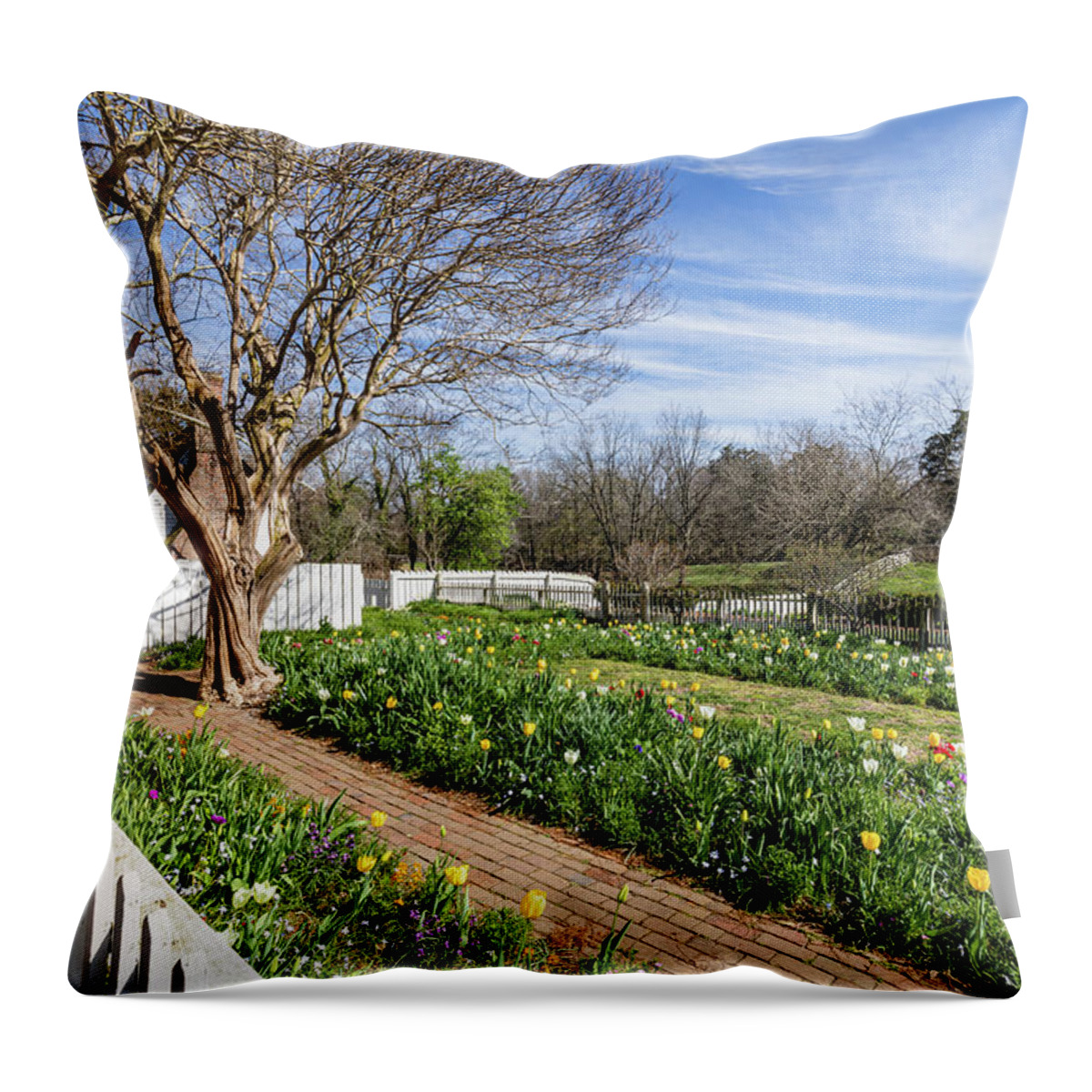 Colonial Williamsburg Throw Pillow featuring the photograph Spring Afternoon in Colonial Williamsburg by Rachel Morrison