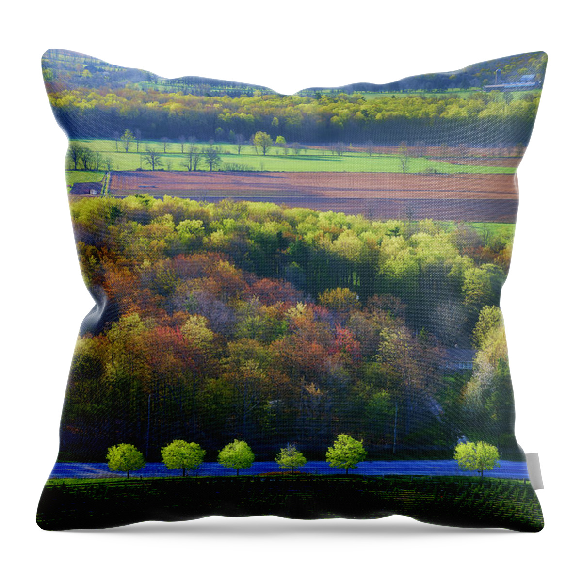 Spring Throw Pillow featuring the photograph Spring at Milton by Henry w Liu