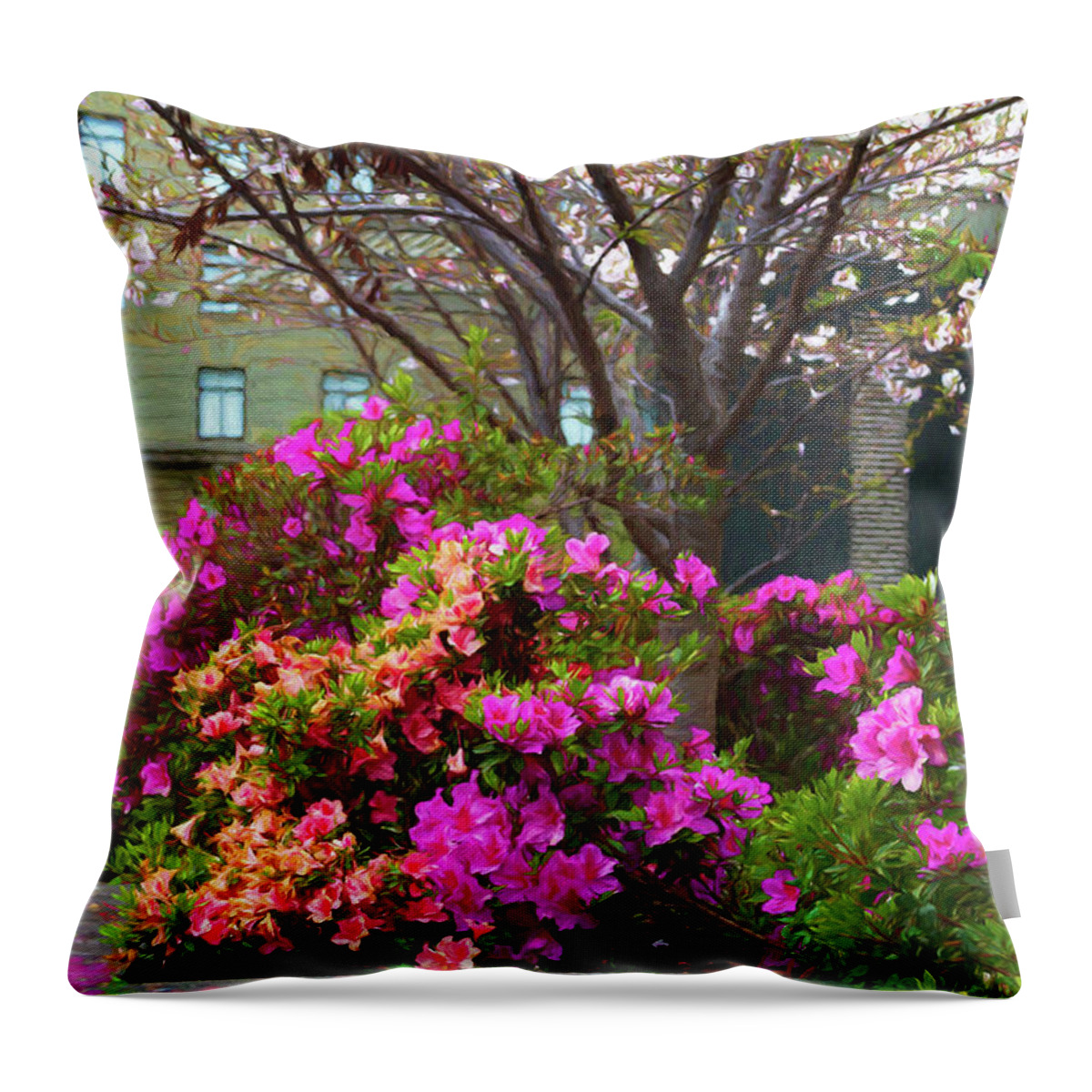Azalea Throw Pillow featuring the photograph Spring Azaleas in the Park by Bonnie Follett