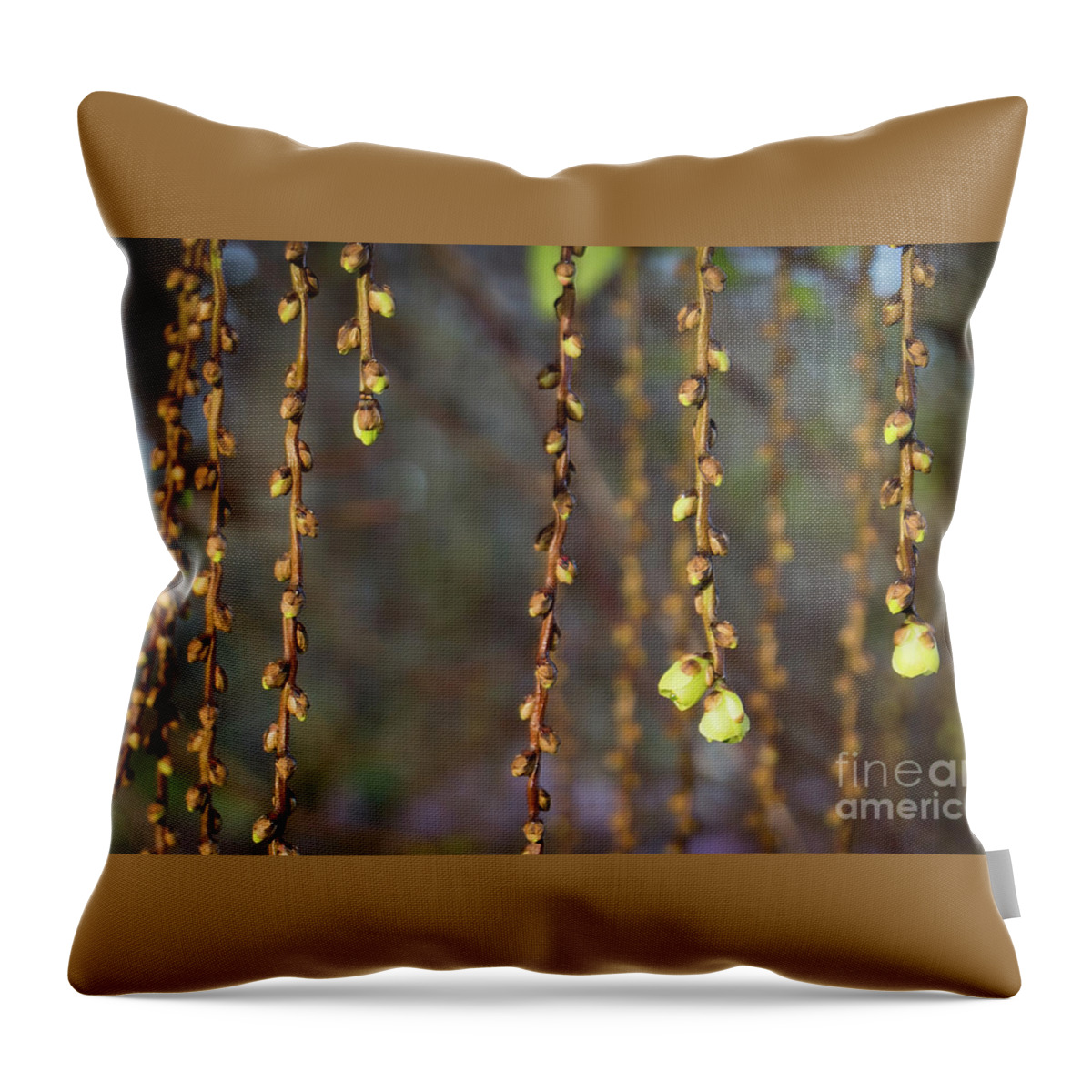 Willow Throw Pillow featuring the photograph Spring Buds by Kathy Strauss