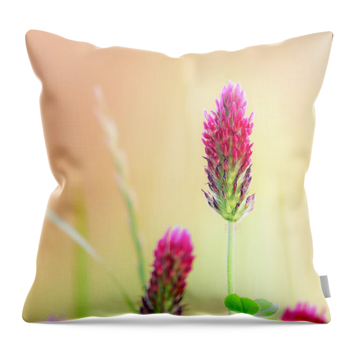 Crimson Clover Throw Pillow featuring the photograph Spring Crimson Clover Natchez Trace Parkway Mississippi 2 by Jordan Hill