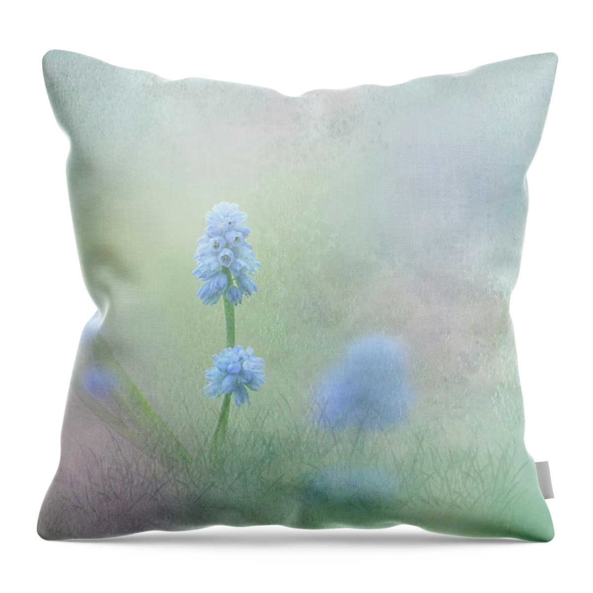 Spring Flowers Throw Pillow featuring the photograph Spring Ephemeral with Texture - Muscari by Patti Deters