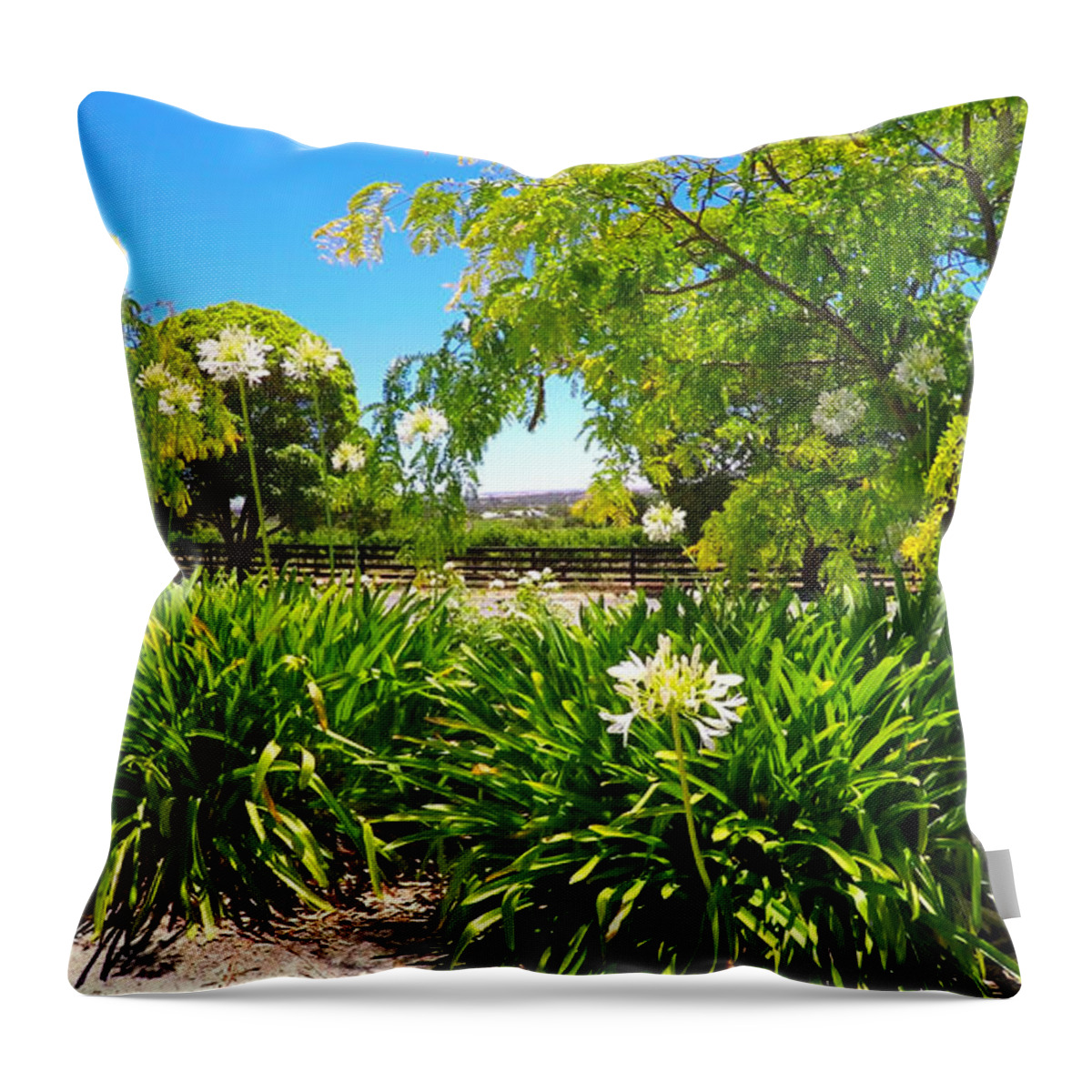 Spring Throw Pillow featuring the photograph Spring flowering agapanthus africanus plants by Milleflore Images